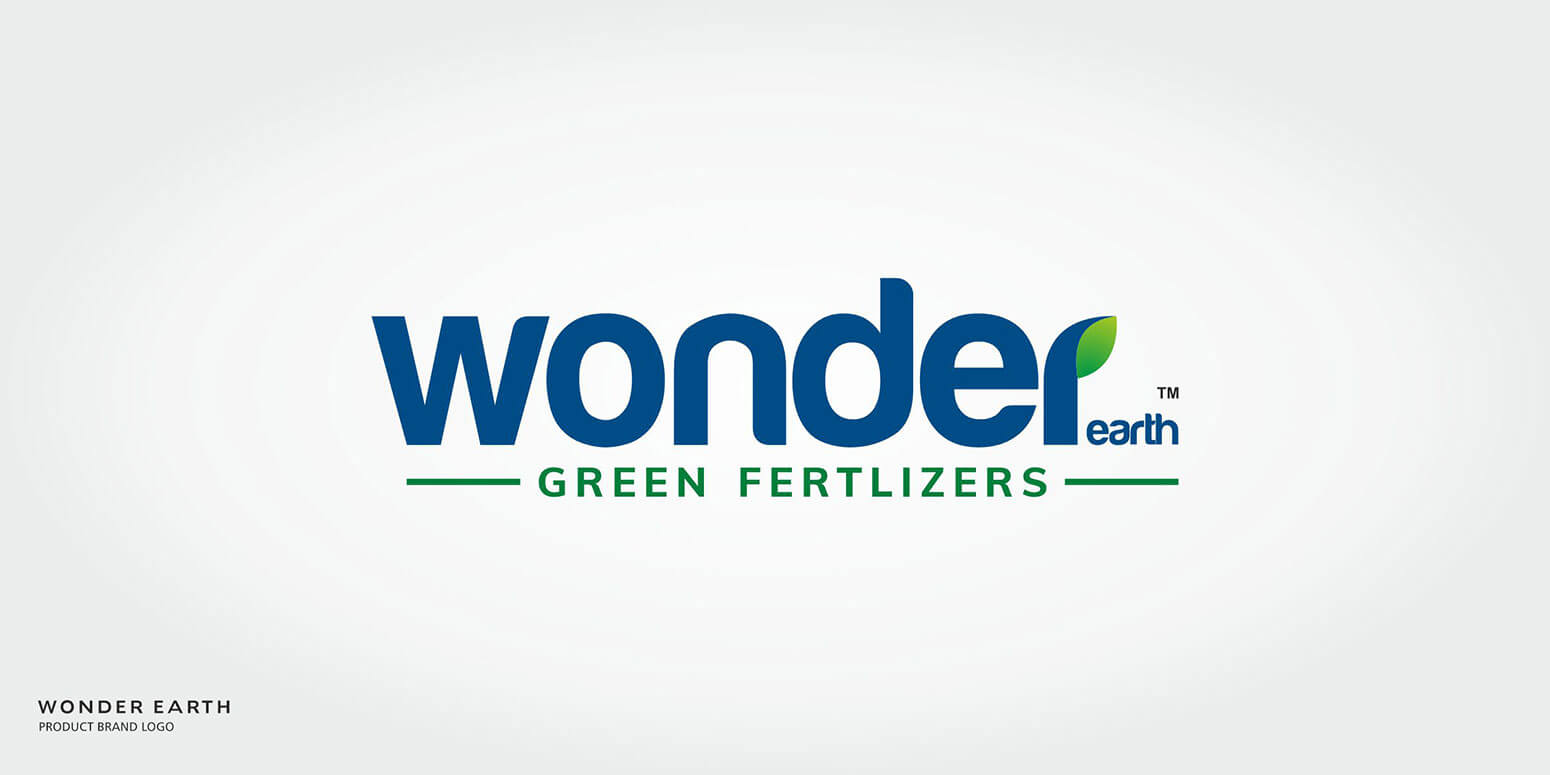 Wonder Earth